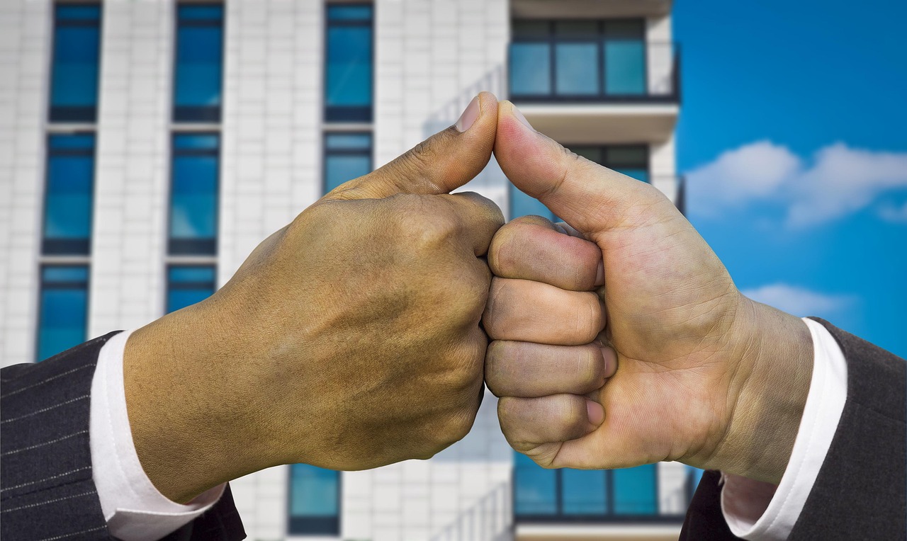 花与剑：网购买车平台