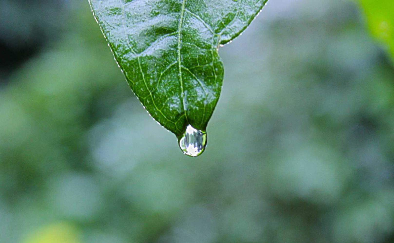 一品传承2娱乐,注册|收银账号怎么注册不了