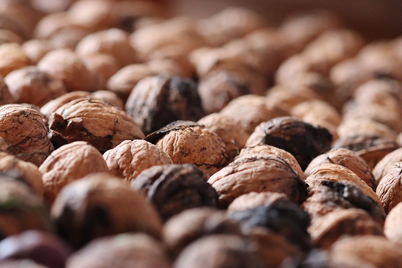 京东云实名账号:优惠购代理注册