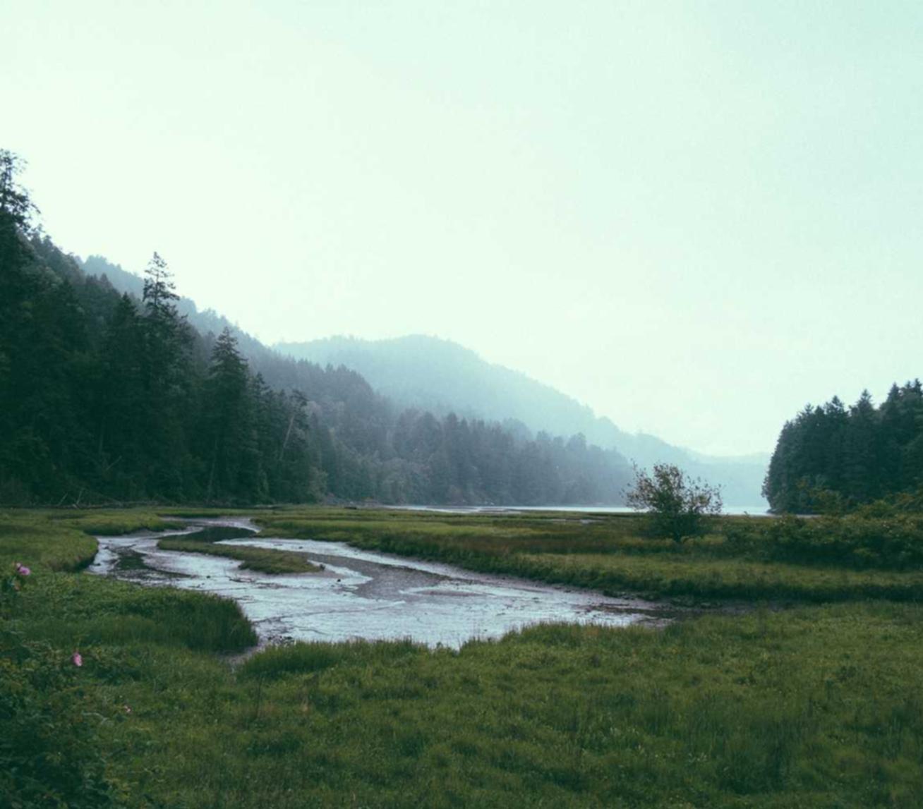 拼房app详情下载教程