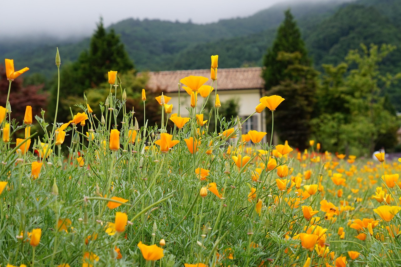 技术支持：游戏中的毒瘤