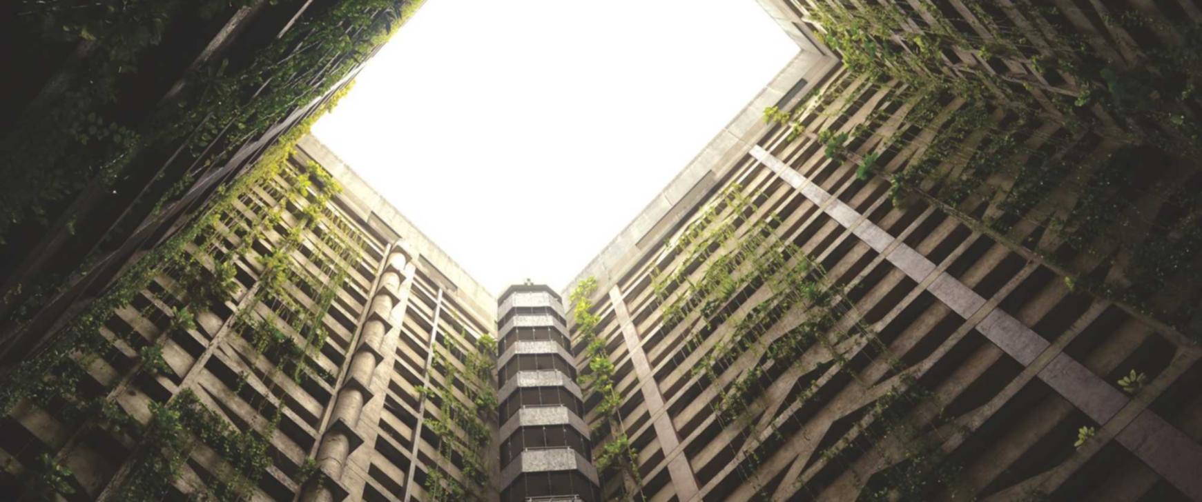 技术支持辅助中的突破性技术和市场领袖