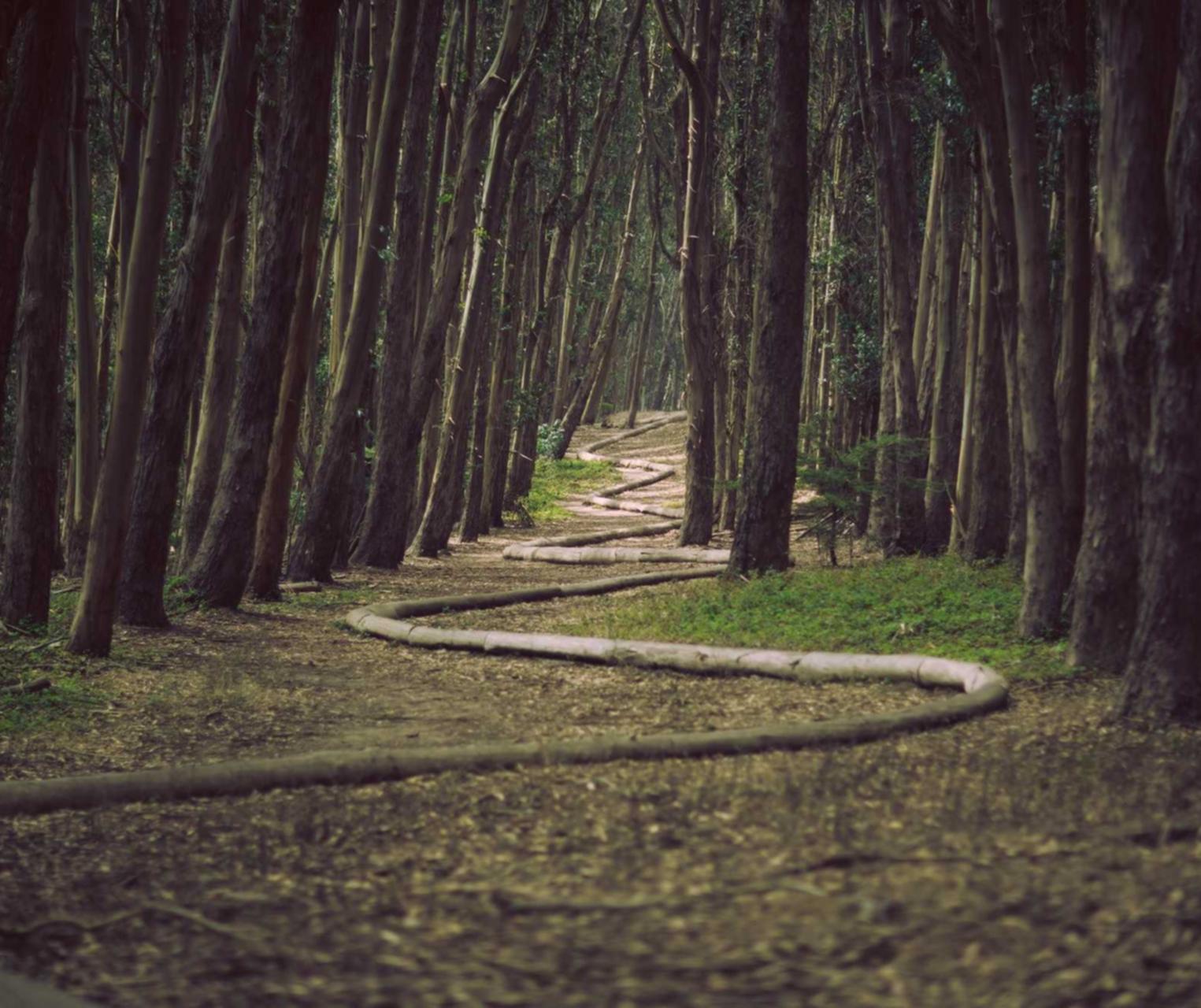 vx账号买卖：淘宝如何新开户注册新账号