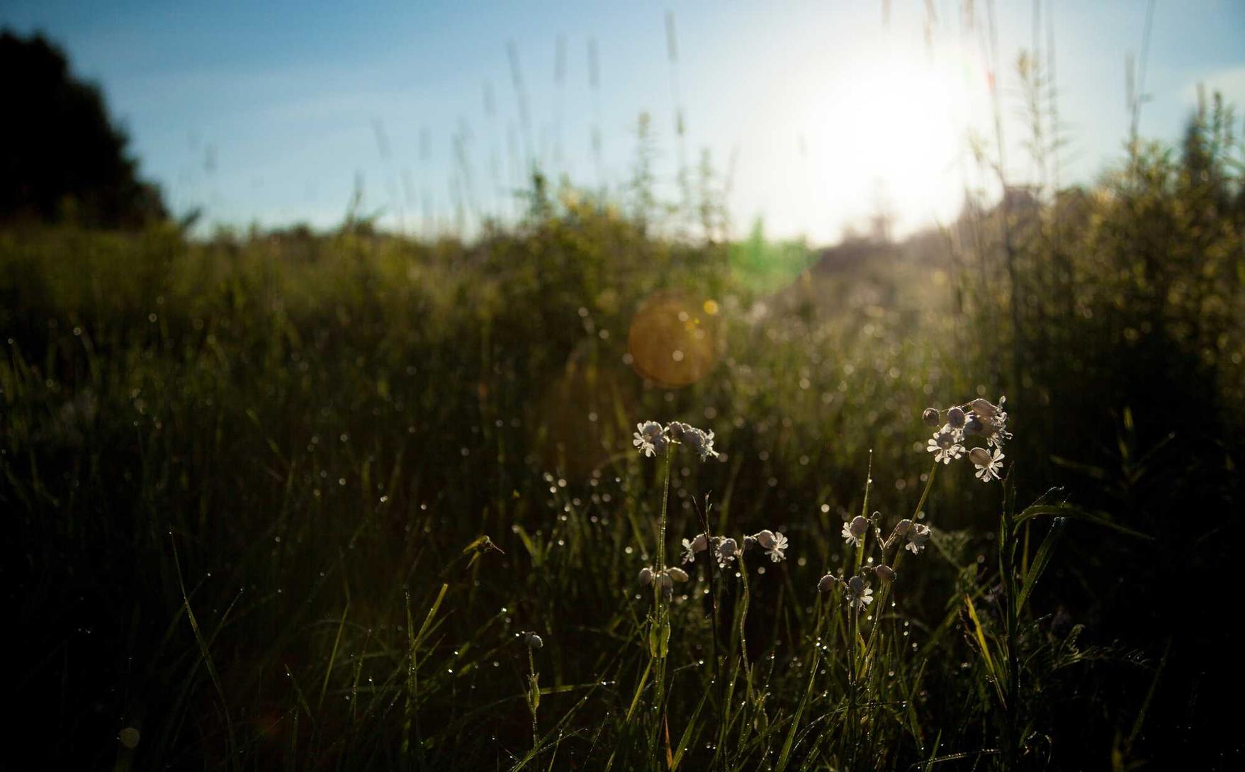 仙剑奇侠传四：区域网络平台代理