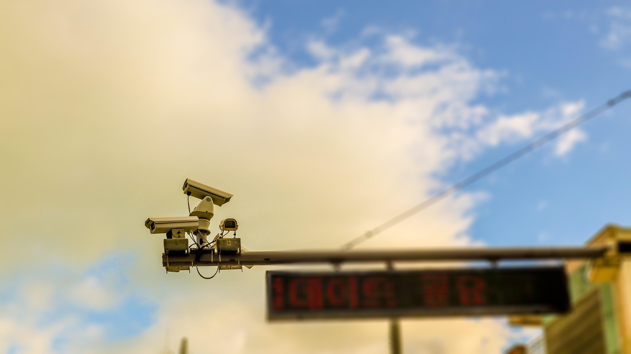 提速啦实名账号：龙虾发货平台代理